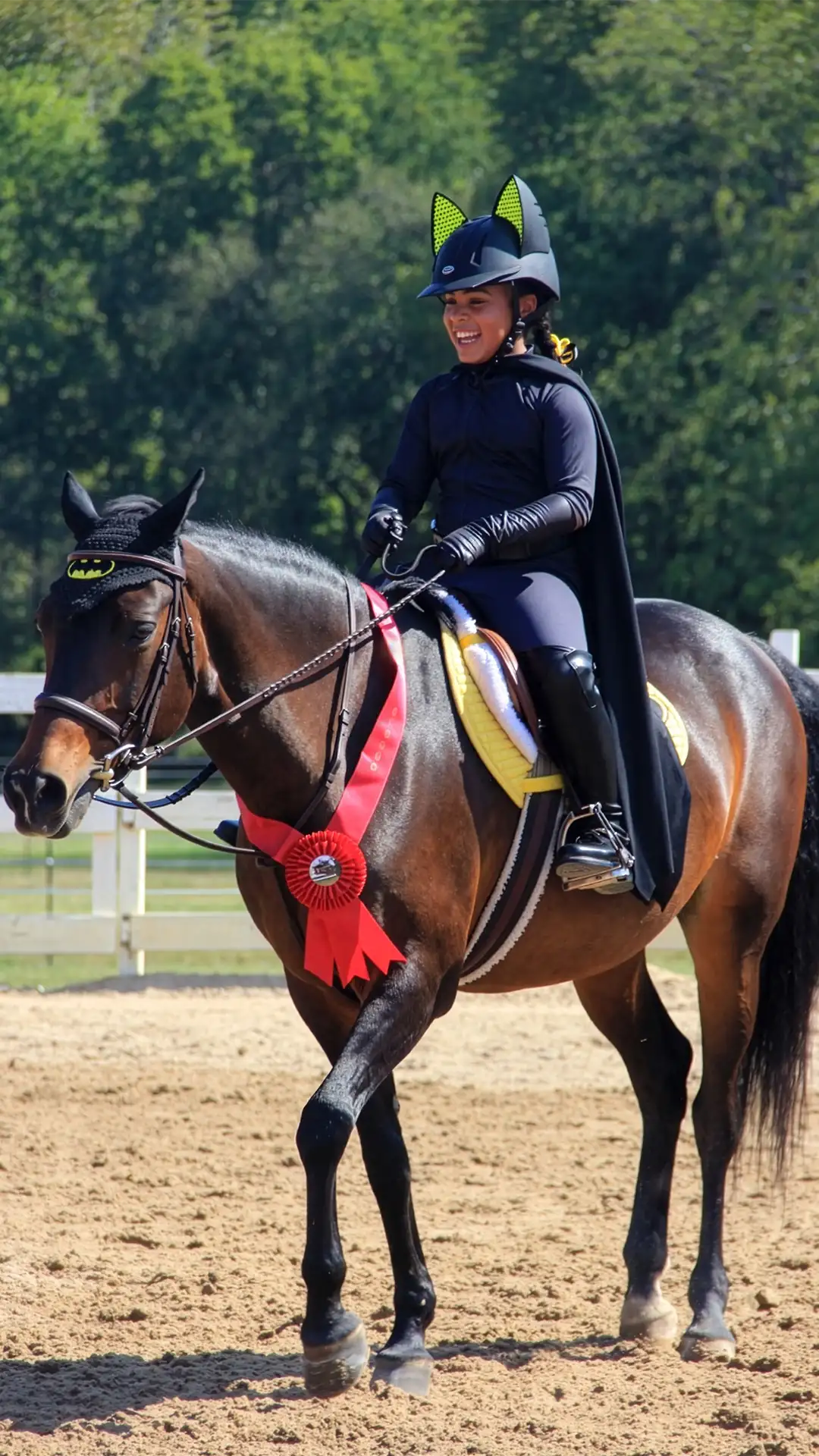 Horse looking out from a stall with ears forward and eyes alert, demonstrating equine body language and communication signals.