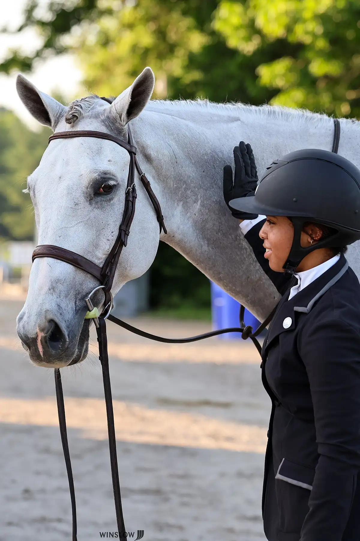 Horse looking out from a stall with ears forward and eyes alert, demonstrating equine body language and communication signals.